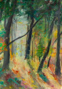 Levendige seizoenen ©H Houtsma 2024