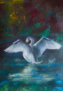 Levendige seizoenen ©H Houtsma 2024