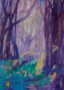 Puttense bossen - © Henriëtte Houtsma 2025